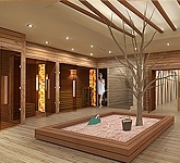 Sauna wellness interior design
