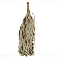 Sauna whisk